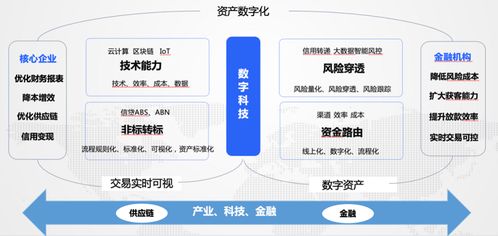 数字风控如何赋能大宗商品供应链产业生态 他这样说